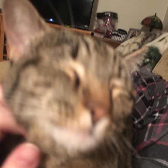 Meet your Posher, Gwen - Picture 1 of 1